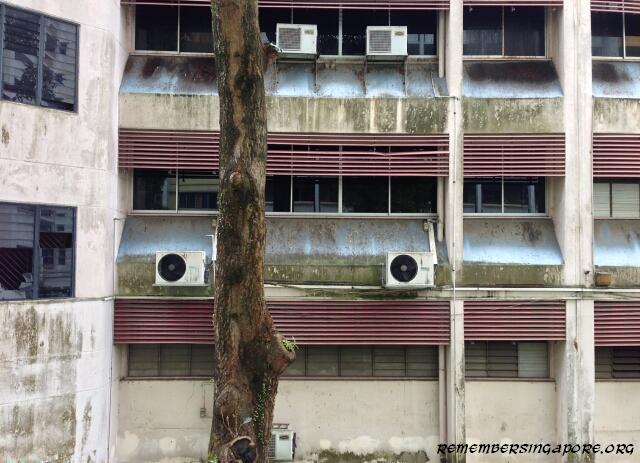former-fuchun-primary-school-building3