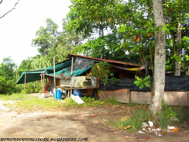 seletar fishing village6