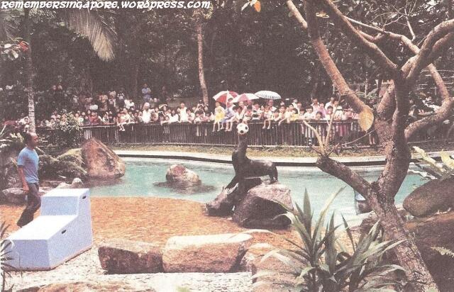 the singapore zoological gardens 1980