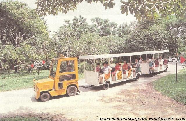 the singapore zoological gardens2 1980