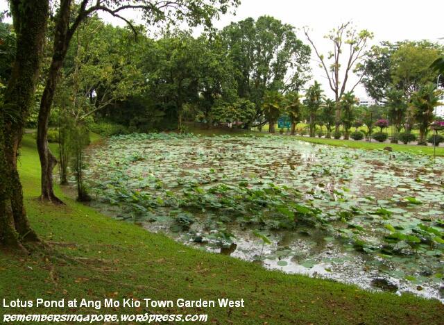 ang mo kio town garden west3