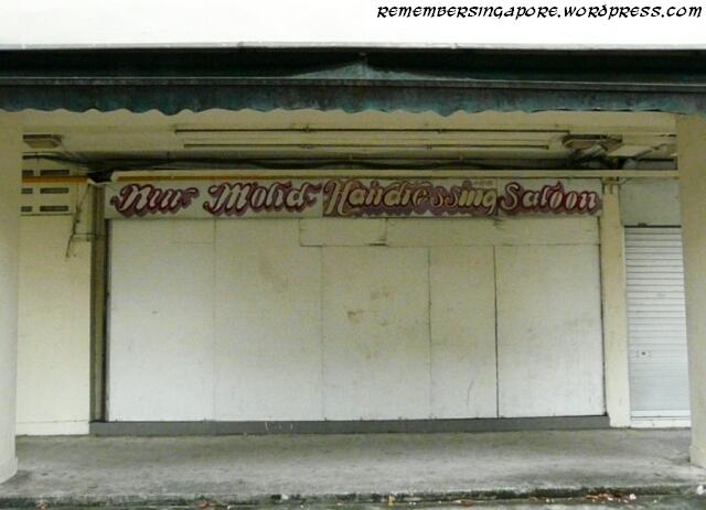 clementi avenue 1 en-bloc flats5