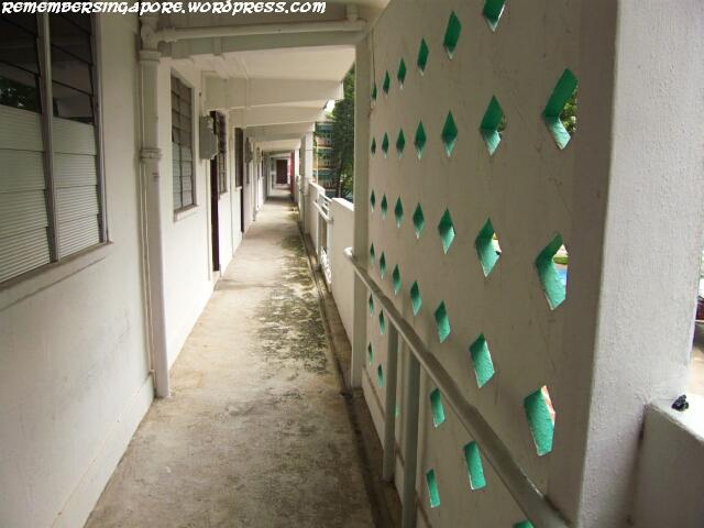 havelock road and taman ho swee en bloc flats2
