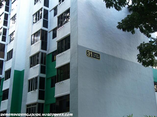 havelock road and taman ho swee en bloc flats5