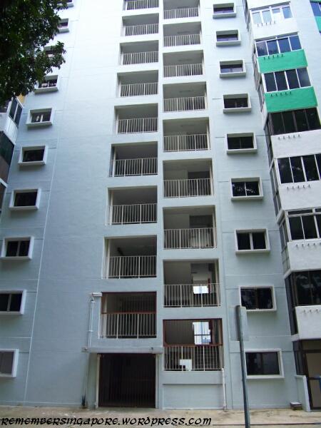 havelock road and taman ho swee en bloc flats7