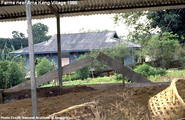 farms at ama keng village 1986