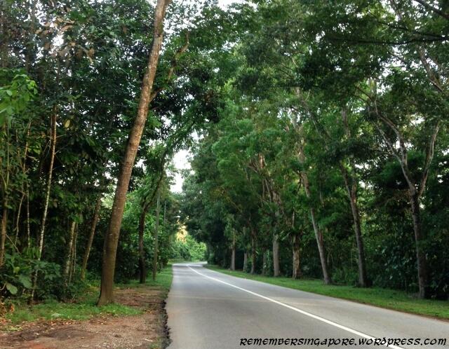 lim chu kang road2