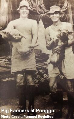ponggol pig farmers