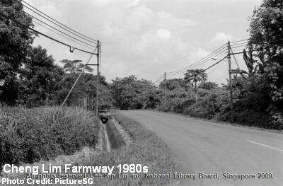 cheng lim farmway 1980s
