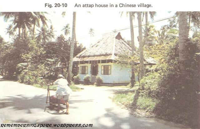 1982 chinese village