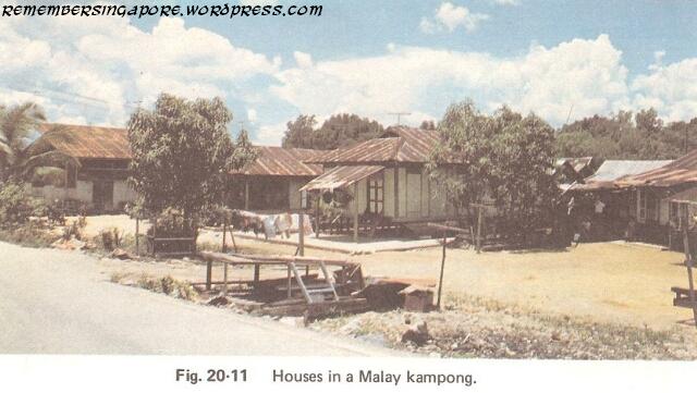1982 malay kampong
