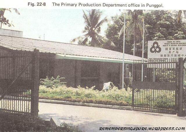 1982 punggol primary production department