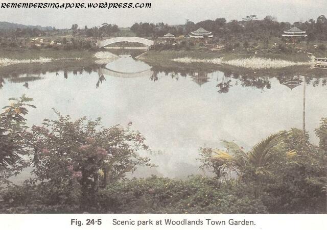 1982 woodlands town garden