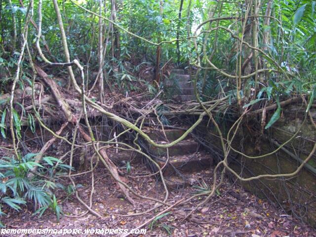 keppel hill reservoir4