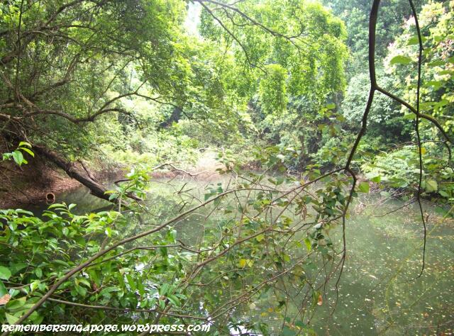 keppel hill reservoir9