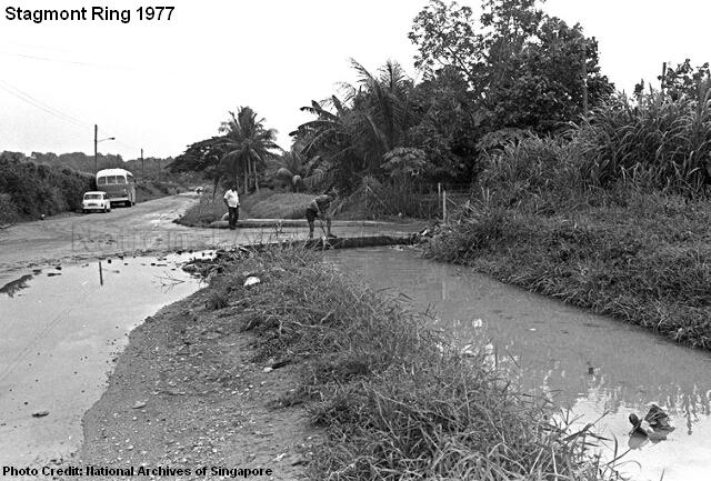 stagmont ring 1977