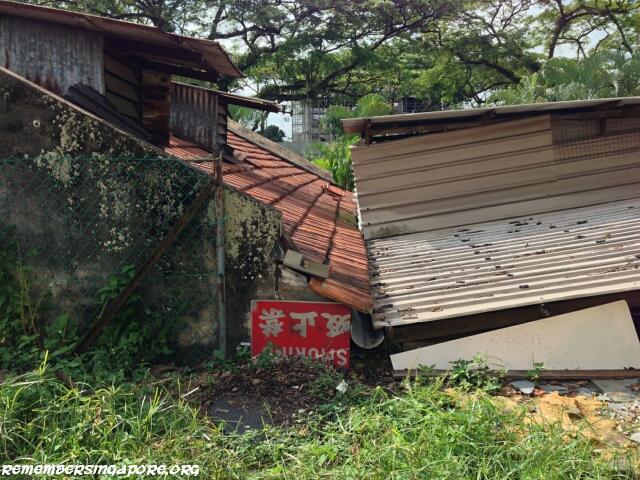 transit road shophouses8