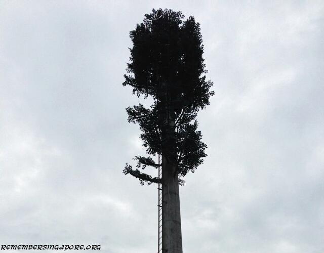 cell phone tree at old choa chu kang road2