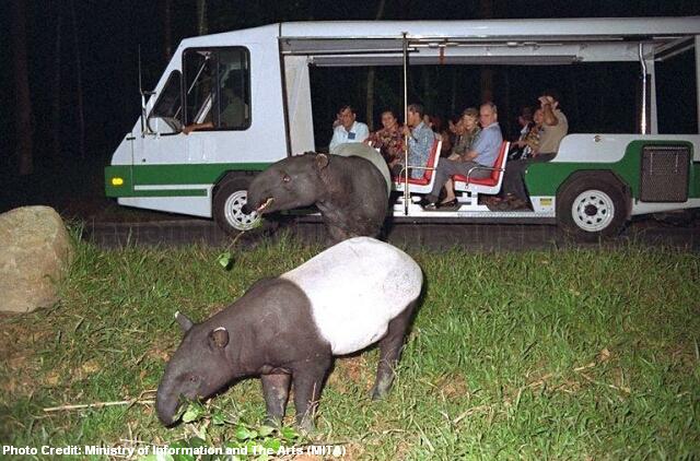 sg50 1994 night safari