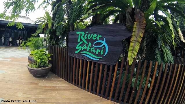 sg50 2014 river safari