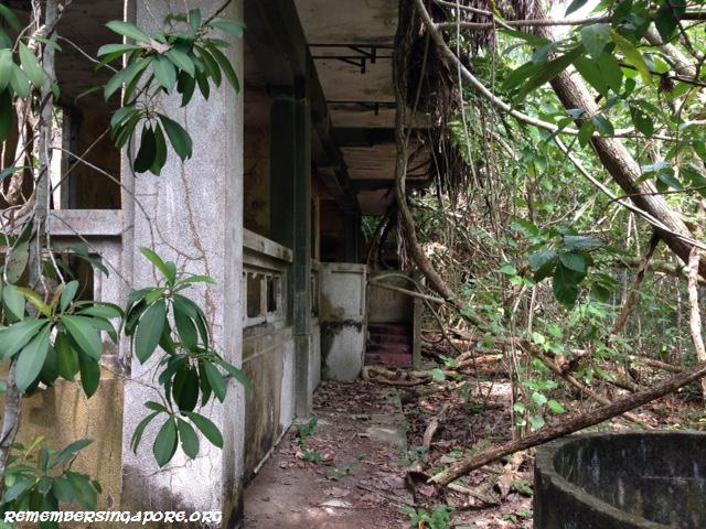 coney island haw par beach villa4