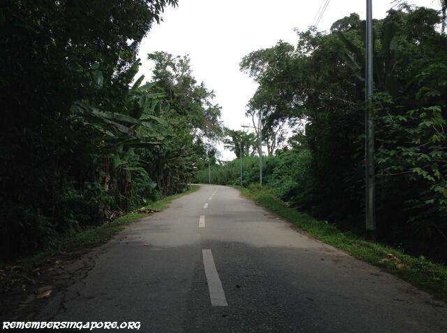 seletar west farmway 6