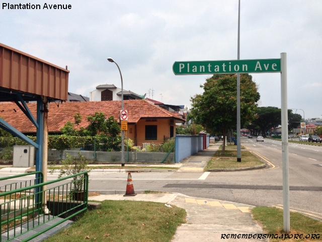 plantation avenue1 2016