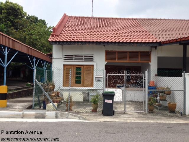 plantation avenue2 2016