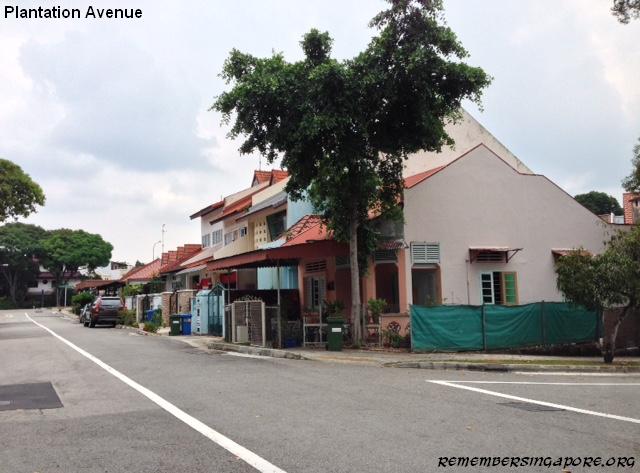 plantation avenue3 2016