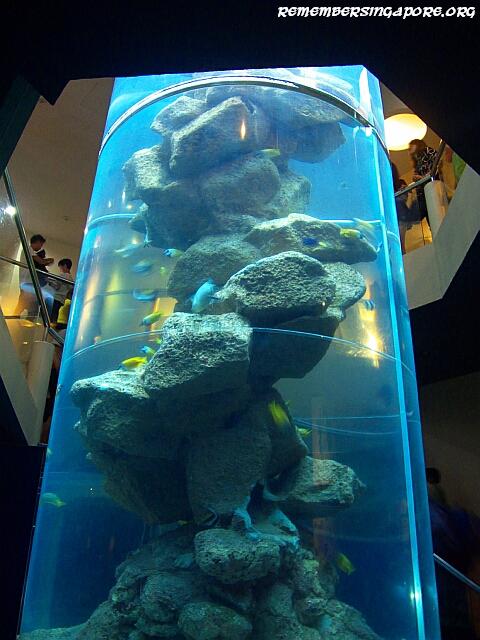 underwater world sentosa galleries2