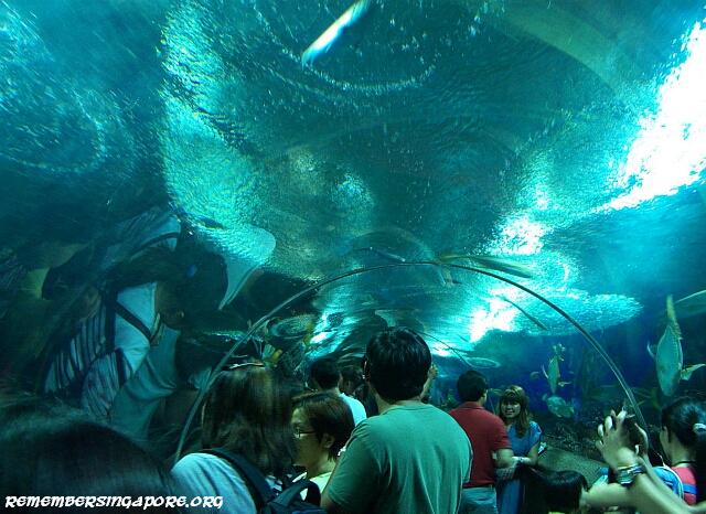 underwater world tunnel1