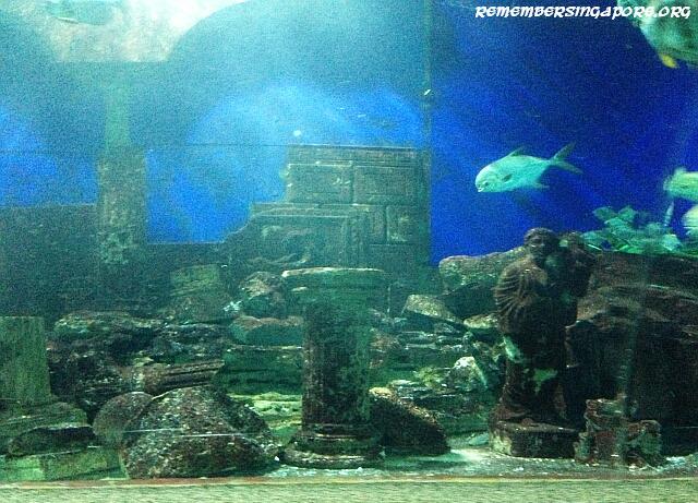 underwater world tunnel3