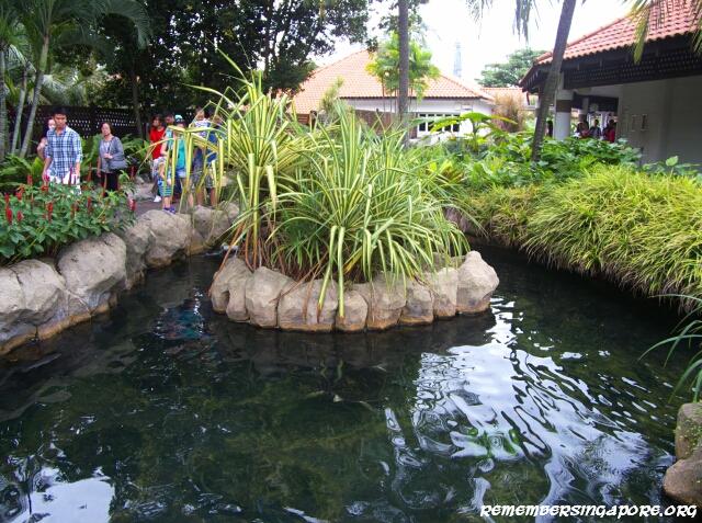 underwater world turtle viewing chamber1