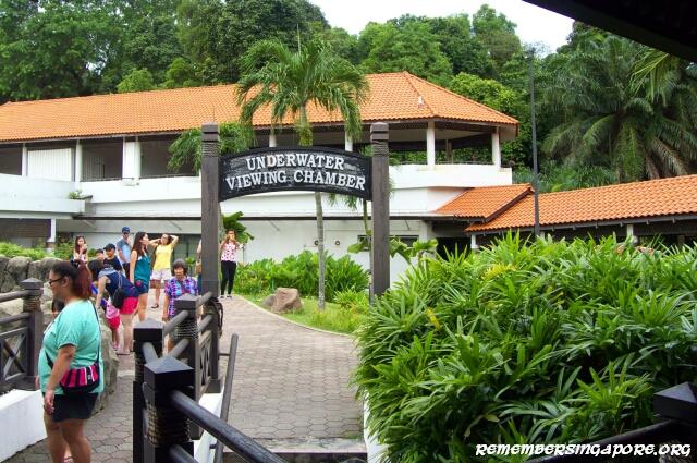 underwater world turtle viewing chamber2