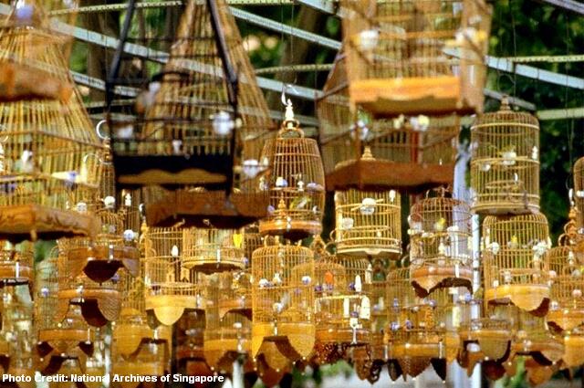 bird-singing-leisure-pastime5-1980s