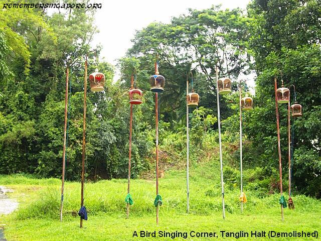 tanglin-halt-bird-singing-corner
