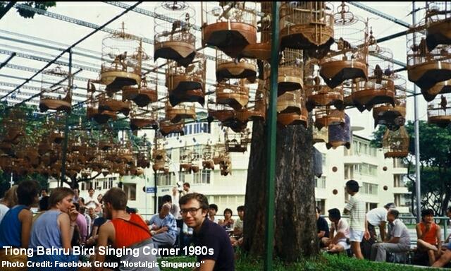 tiong-bahru-bird-singing-corner-1980s