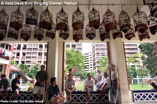 yishun-hdb-flat-void-deck-bird-singing-corner