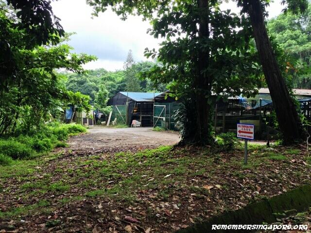 last-fish-farm-seletar-west-farmway-4-1