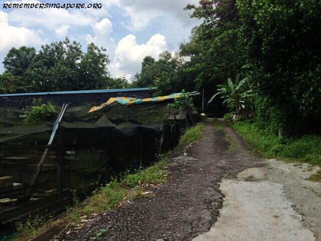 last-fish-farm-seletar-west-farmway-4-5