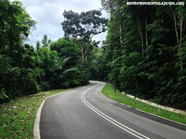 old-upper-thomson-road1-2016